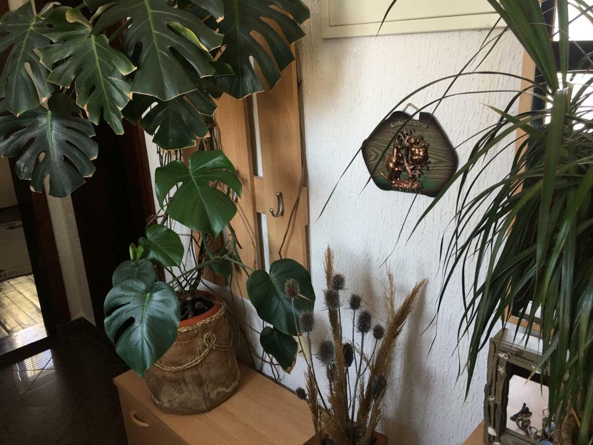 Apartmani Miljana Bar Eksteriør bilde